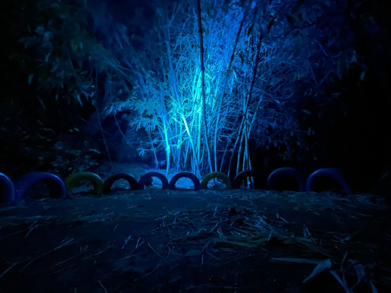 WhatsApp Image 2022-12-14 at 1.33.53 PM